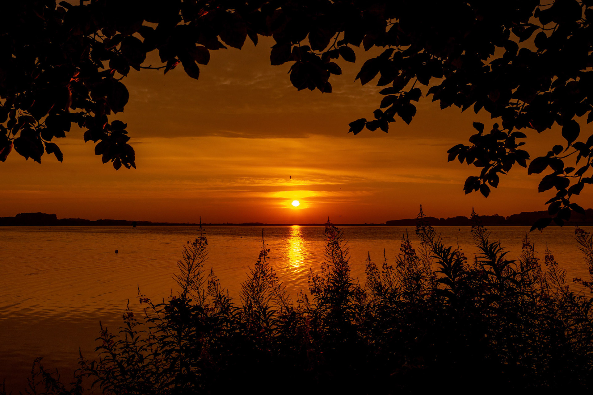 Sunrise Hambleton August 2021