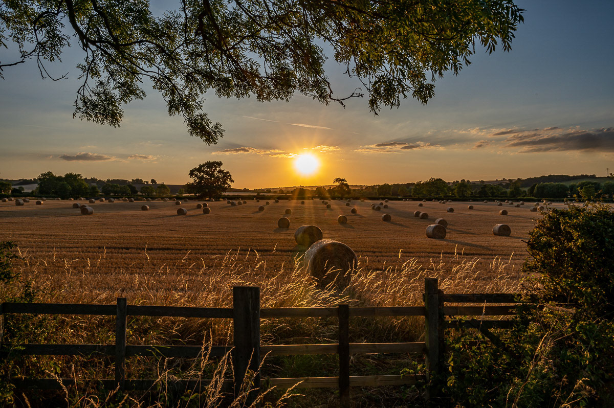 Bales at Sunset Preston Rutland August 2022