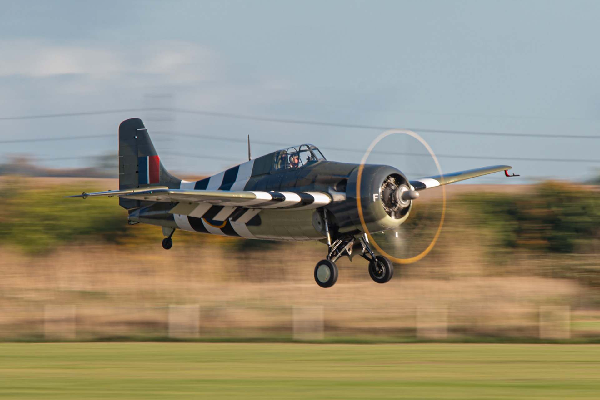 Grumman Wildcat