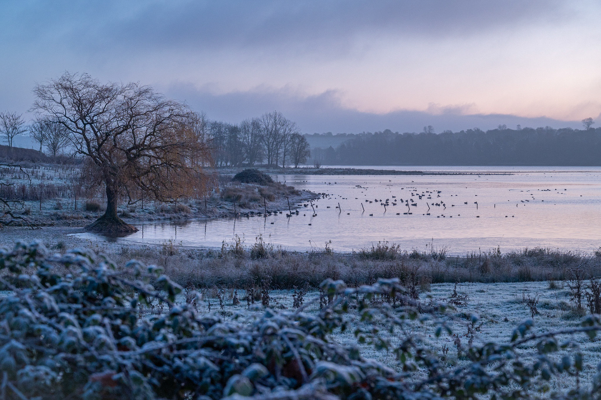 Winter at the Eyebrook Reservoir Decmber 2022