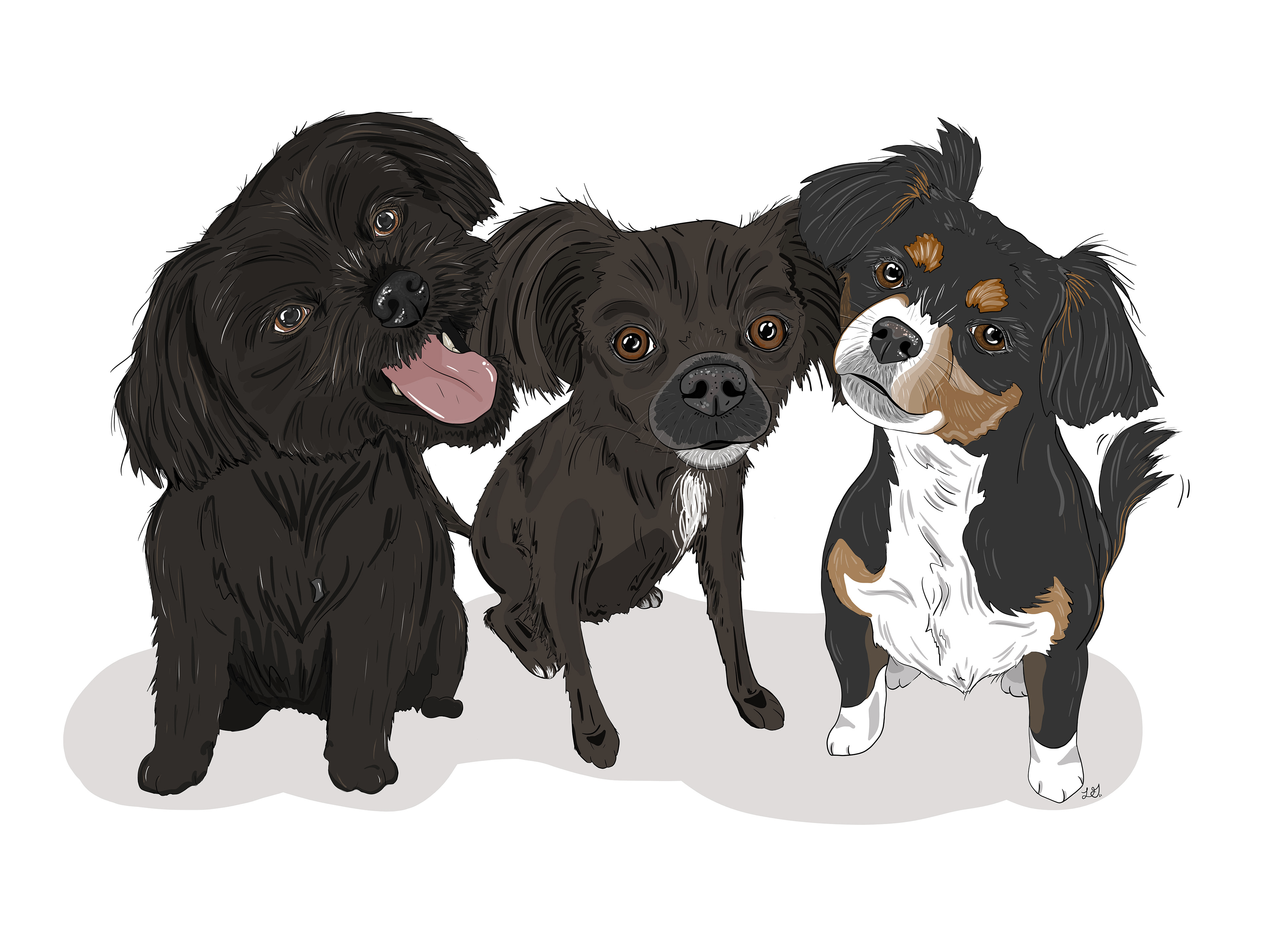 Cooper, Tucker & Charlie