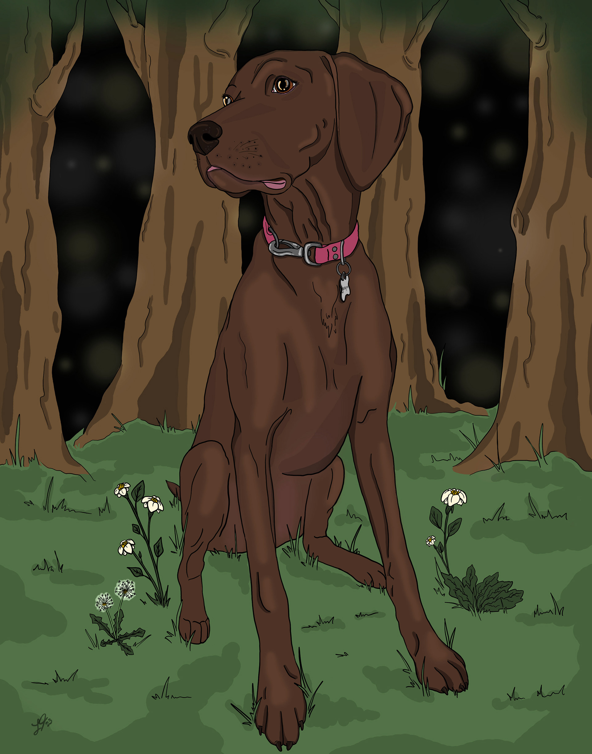 Our family dog, Juniper