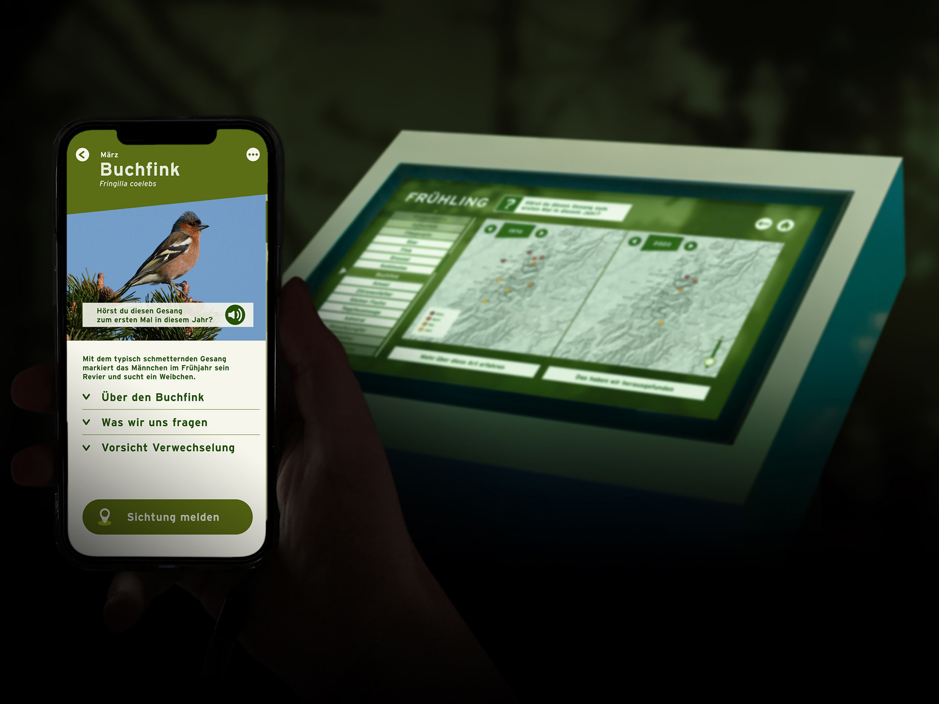Max Glimm – Nationalpark Schwarzwald – App-Gestaltung