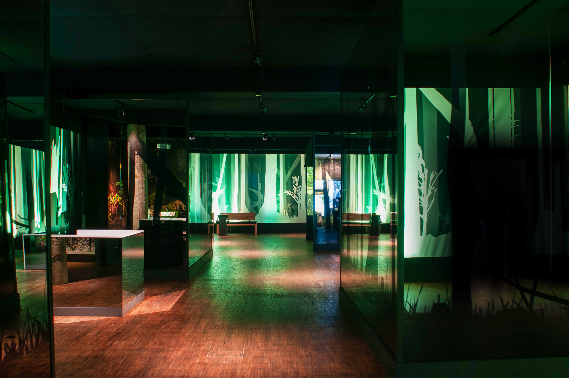 Max Glimm – Nationalpark Hunsrück-Hochwald – Ausstellungsgestaltung