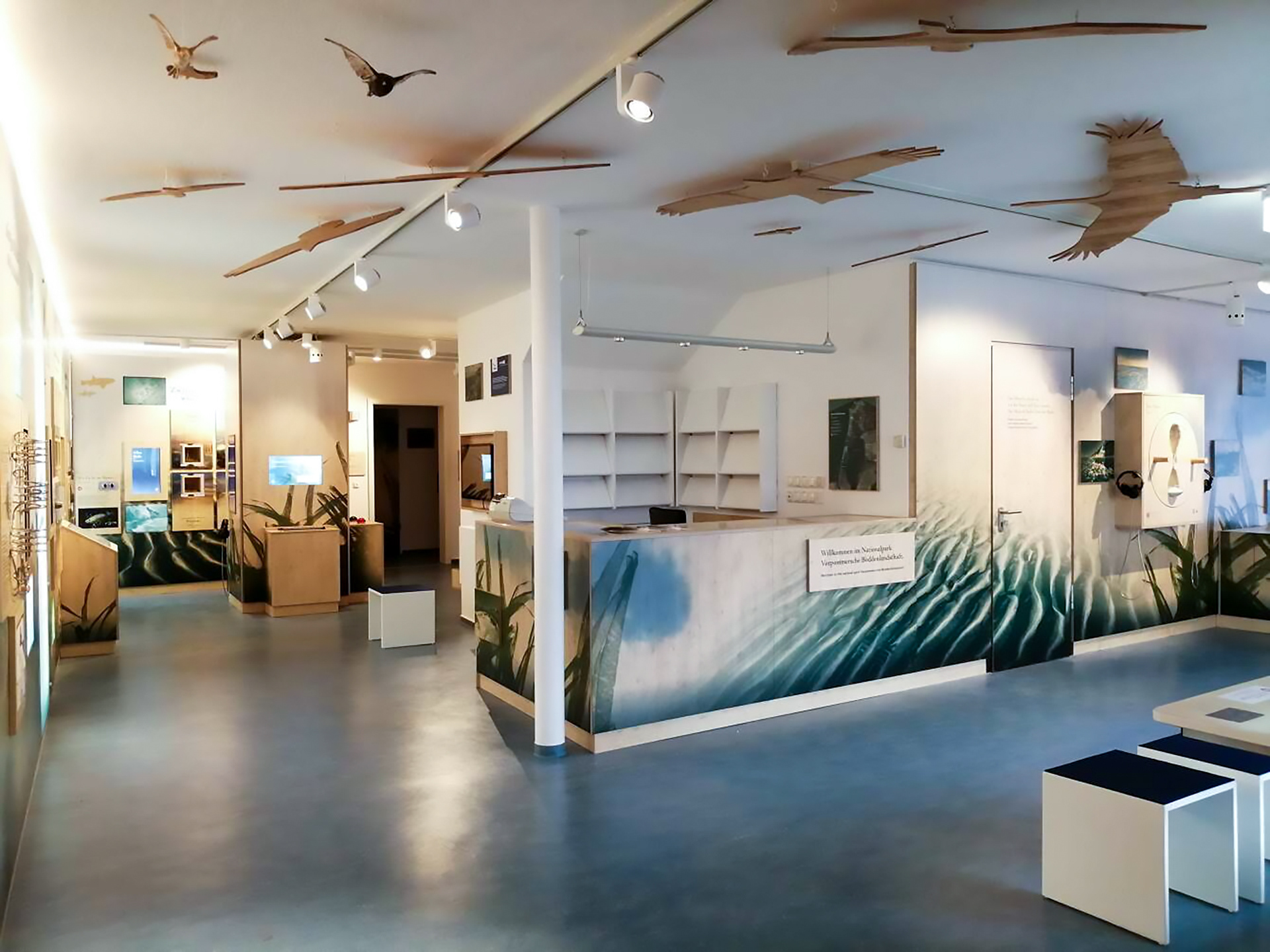 Max Glimm – Nationalpark Vorpommersche-Boddenlandschaft – interaktive Erlebnisausstellung