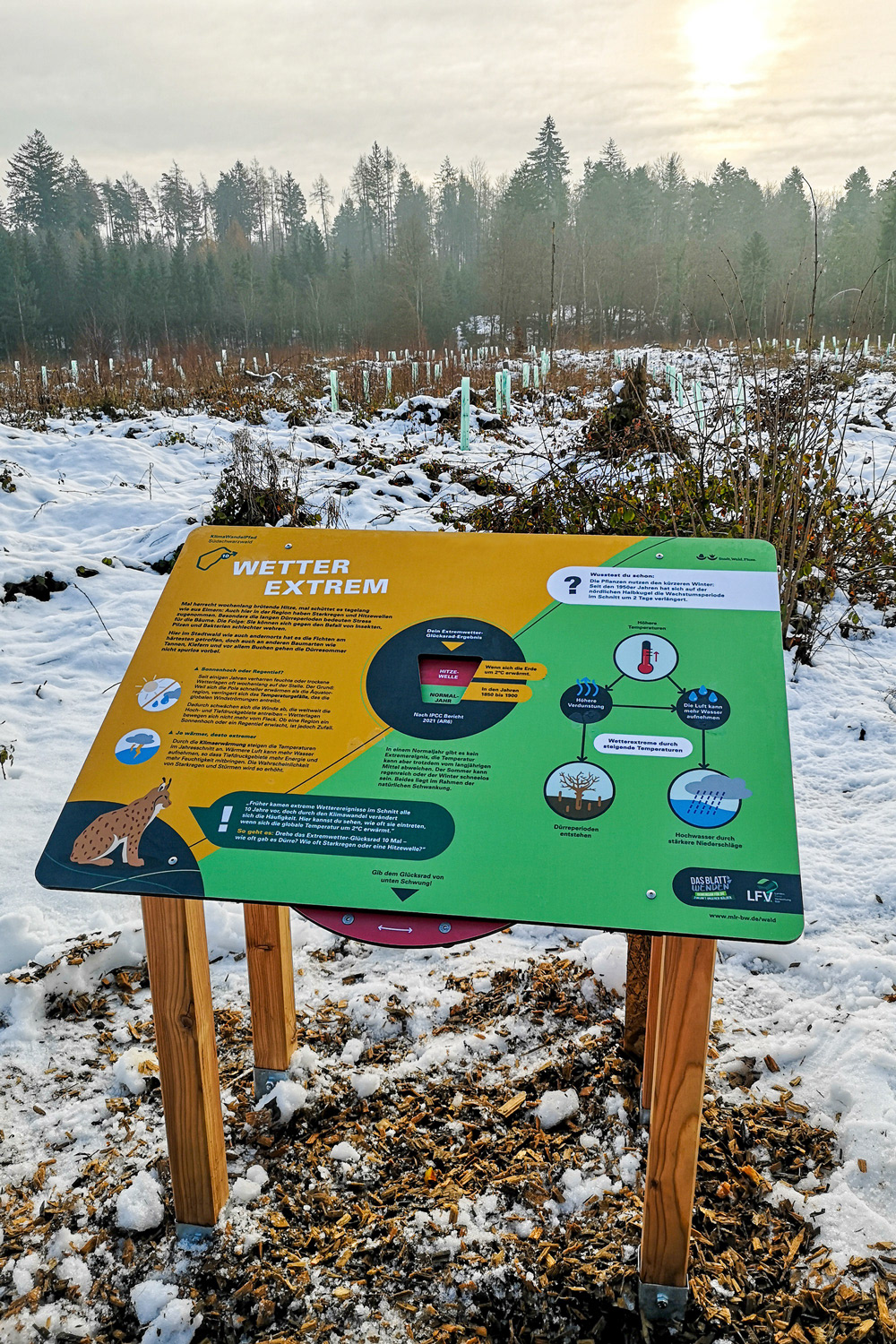 Max Glimm – KlimaWandelPfad – interaktiver Erlebnispfad