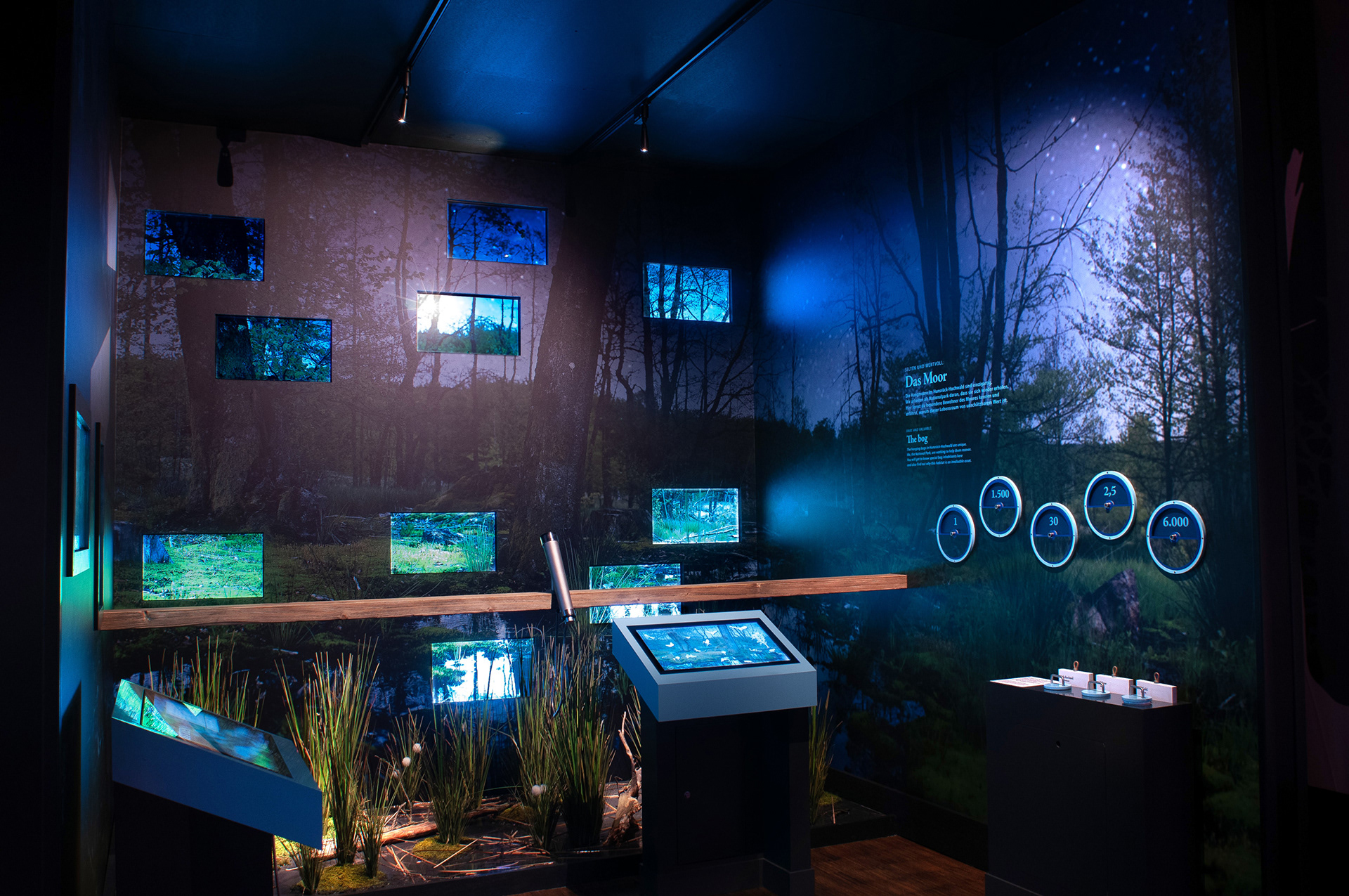 Max Glimm – Nationalpark Hunsrück-Hochwald – Ausstellungsgrafik