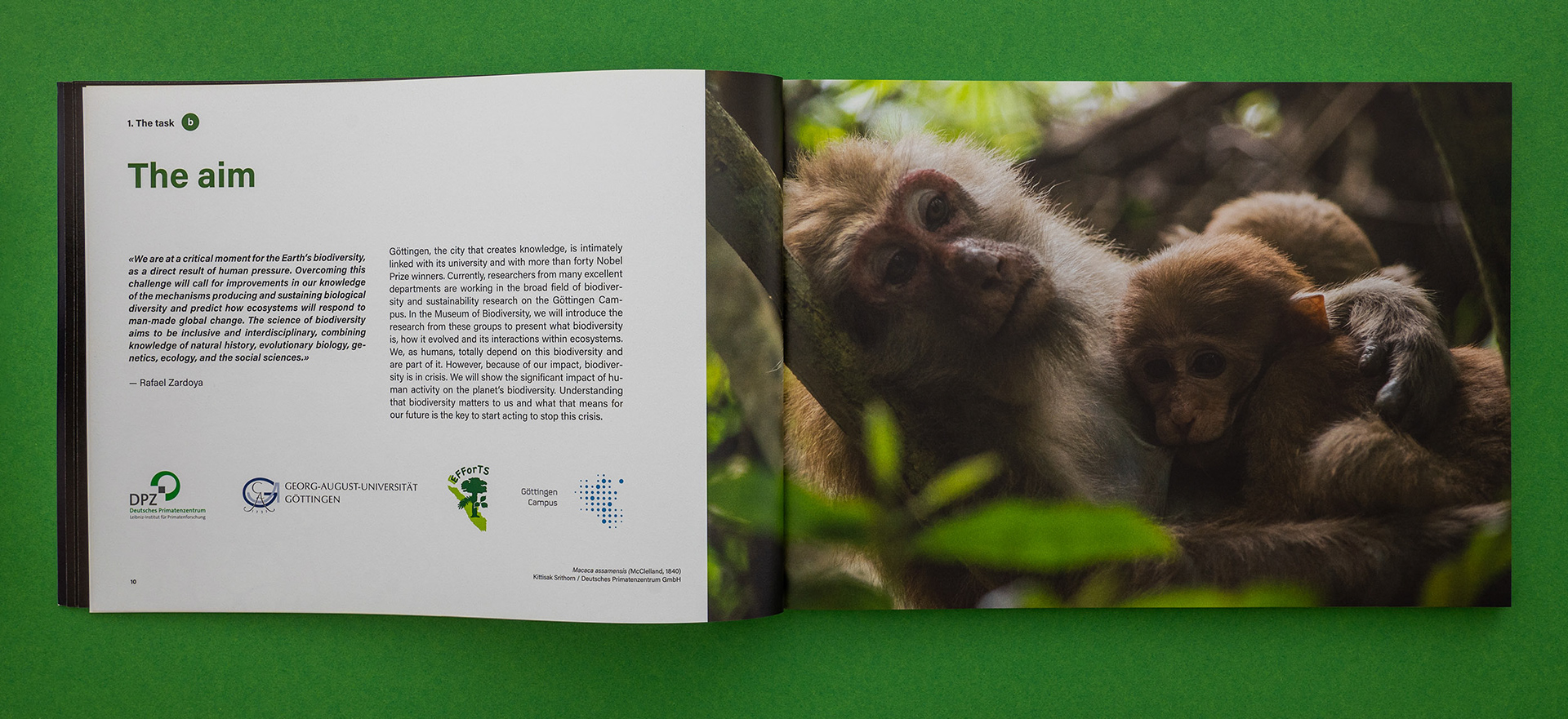 Max Glimm – Biodiversitätsmuseum Göttingen – Konzeptgestaltung