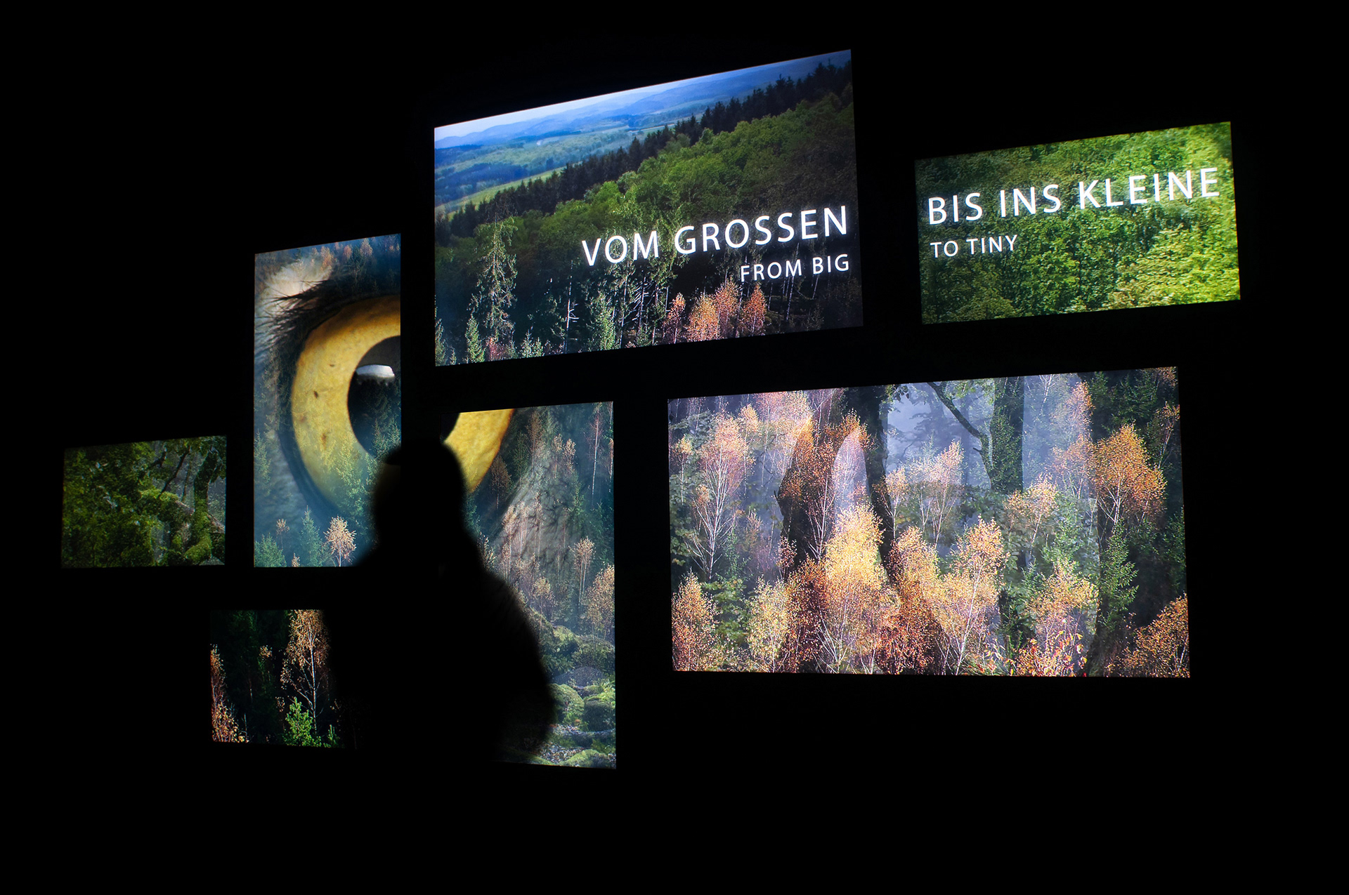 Max Glimm – Nationalpark Hunsrück-Hochwald – Filmgestaltung