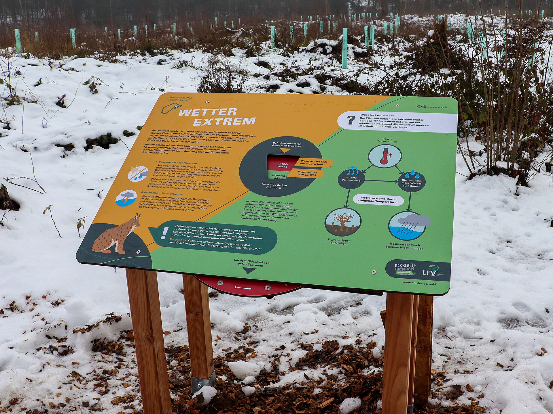 Max Glimm – KlimaWaldPfad – interaktive Station