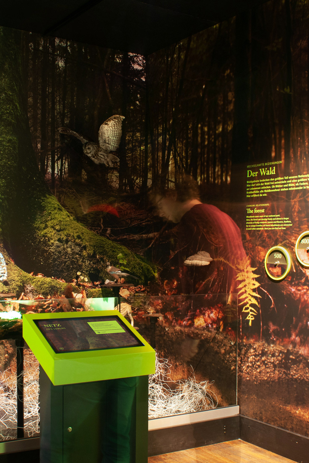 Max Glimm – Nationalpark Hunsrück-Hochwald – interaktive Erlebnisausstellung