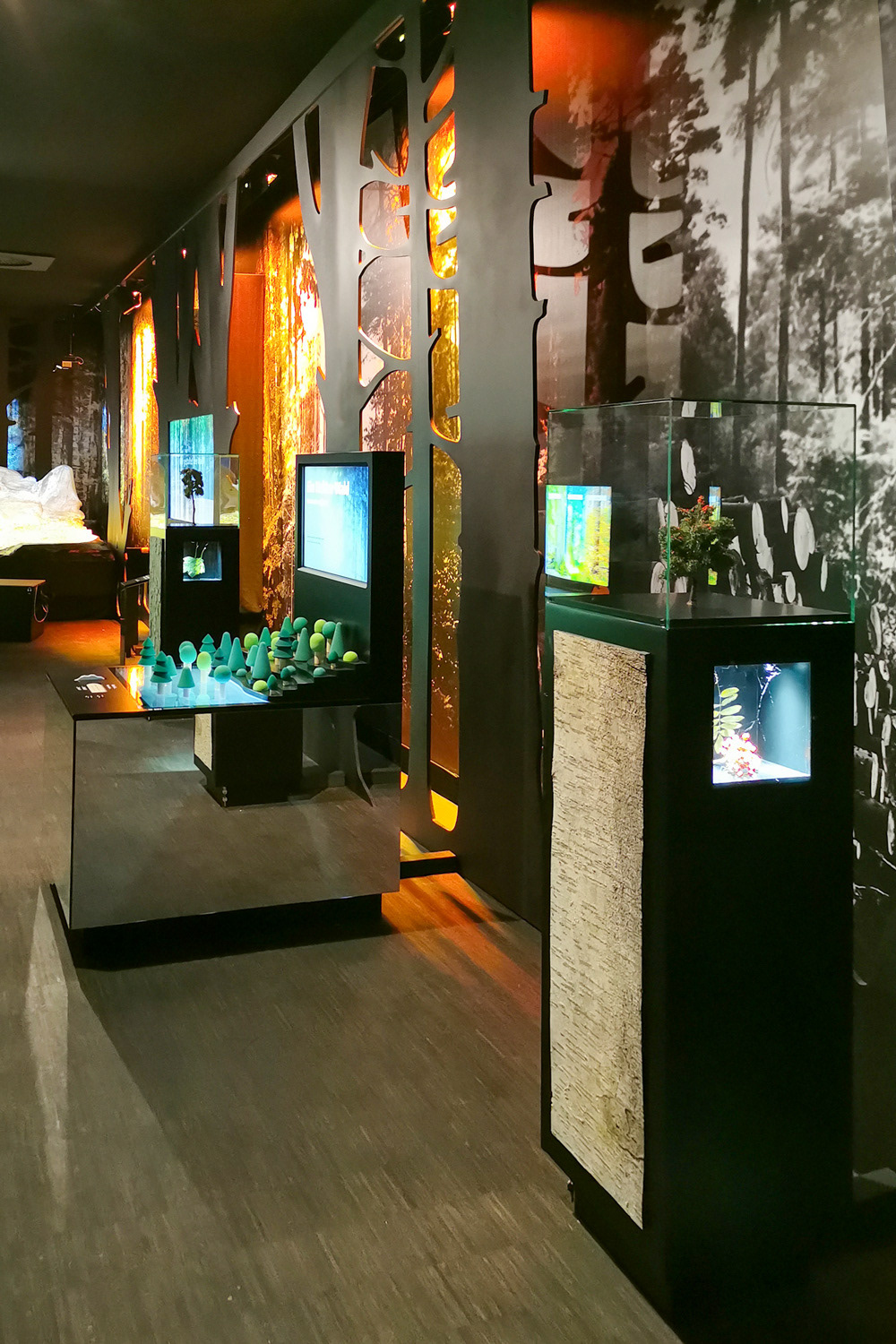 Max Glimm – HarzWaldHaus – interaktive Erlebnisausstellung