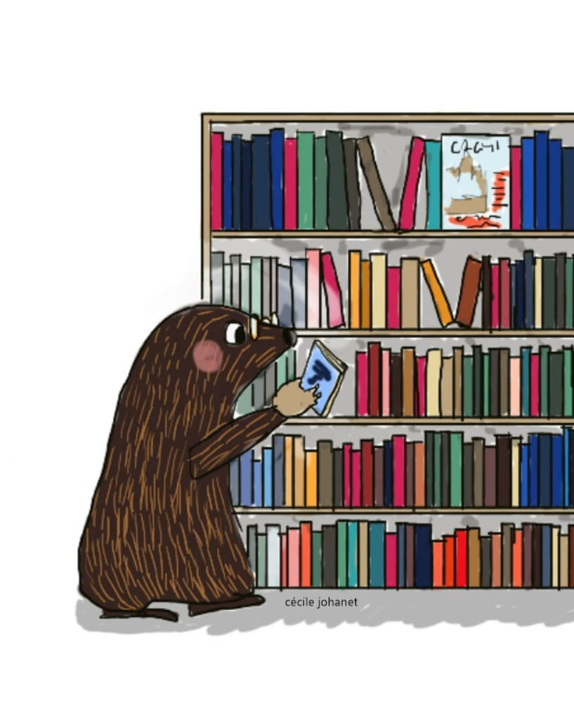 Je range les livres quand j'ai fini de les lire