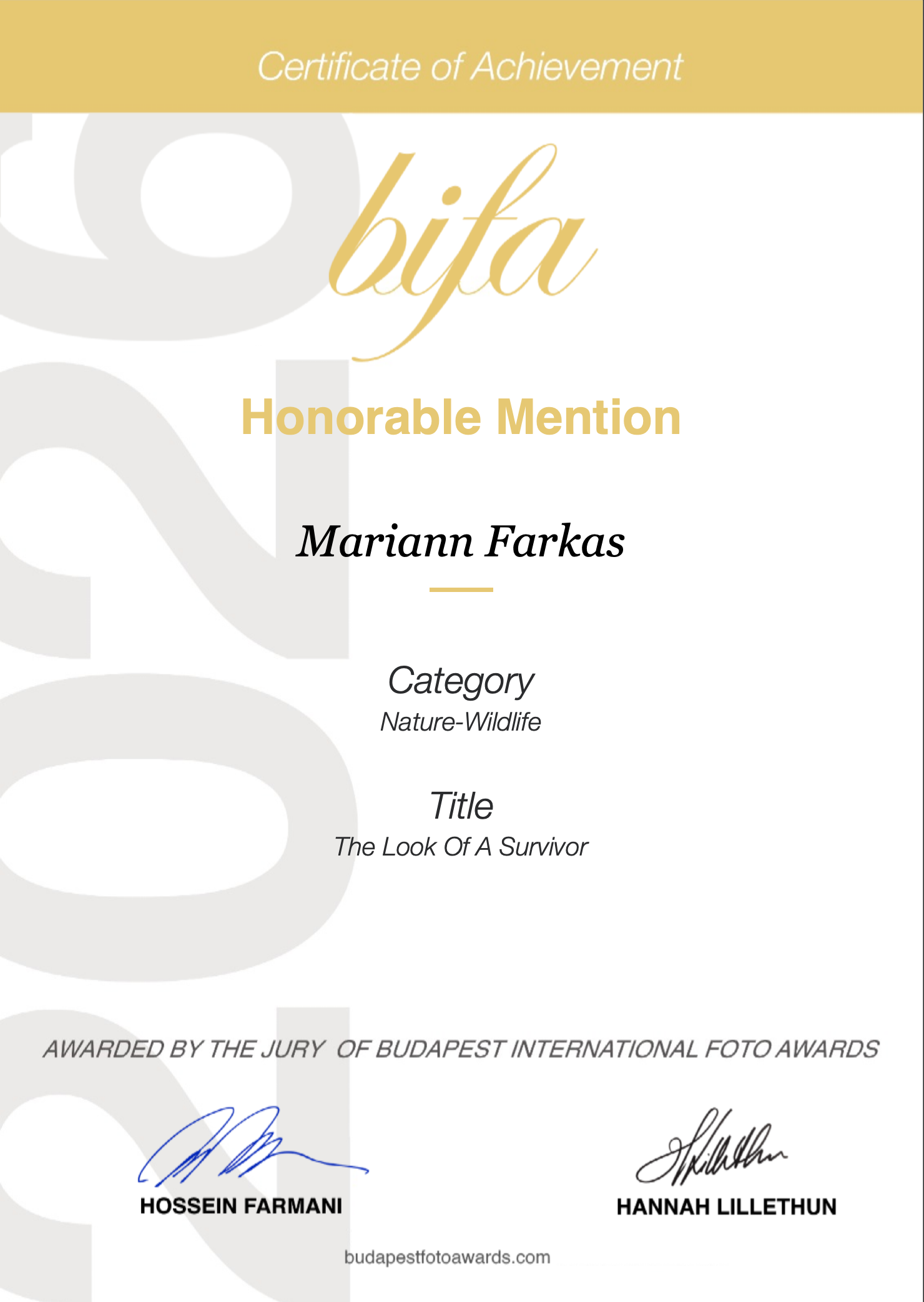 Mariann Farkas