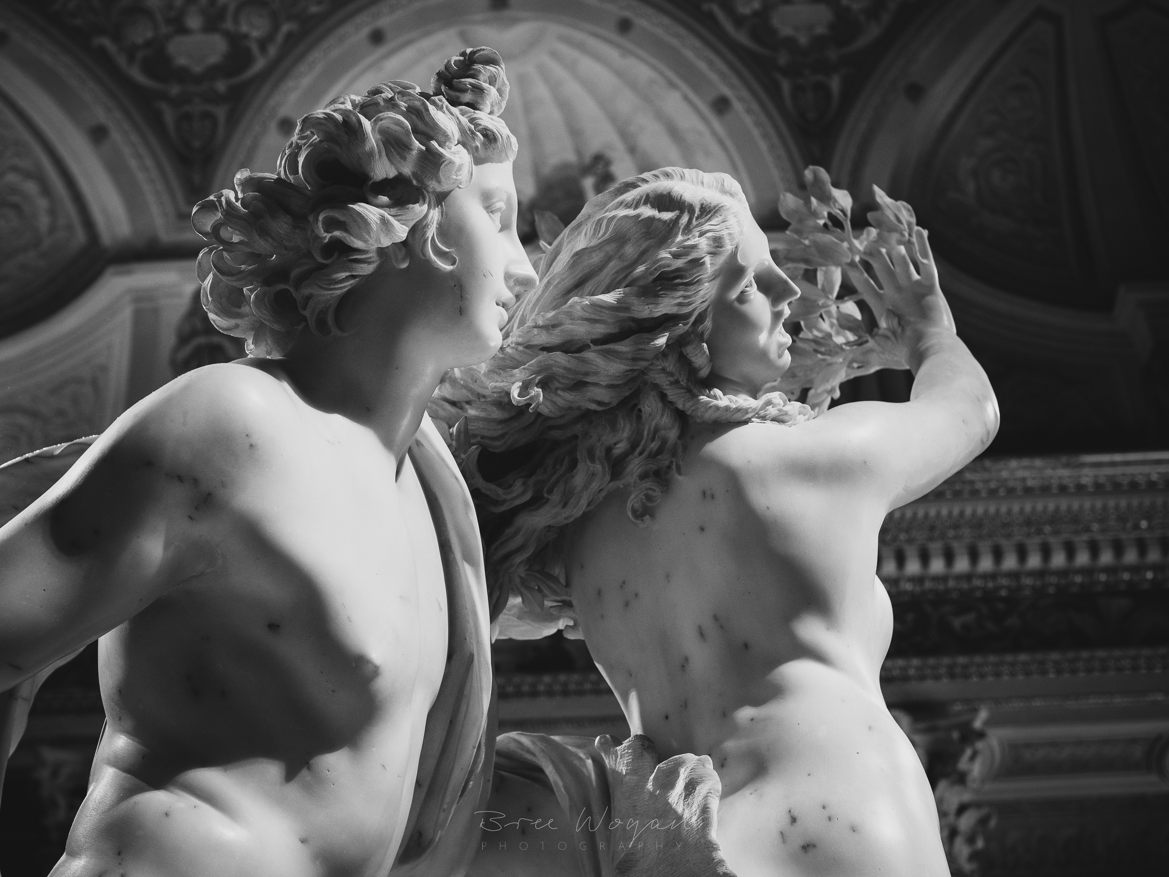 Apollo and Daphne, Gian Lorenzo Bernini, Carrara Marble, 1625, Galleria Borghese, Rome, Italy. 