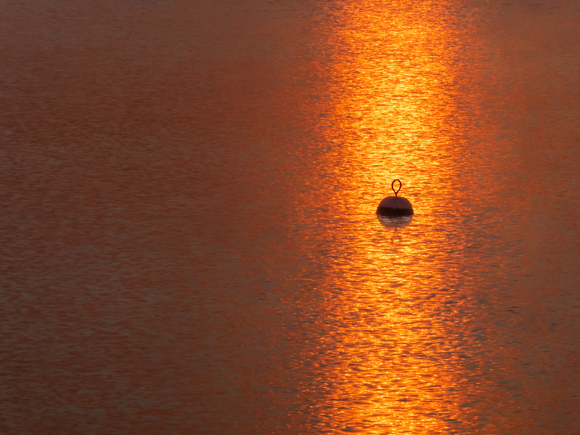 Buoy