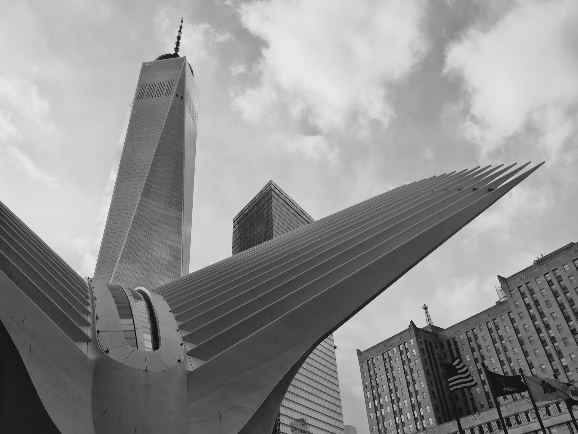 Flap II