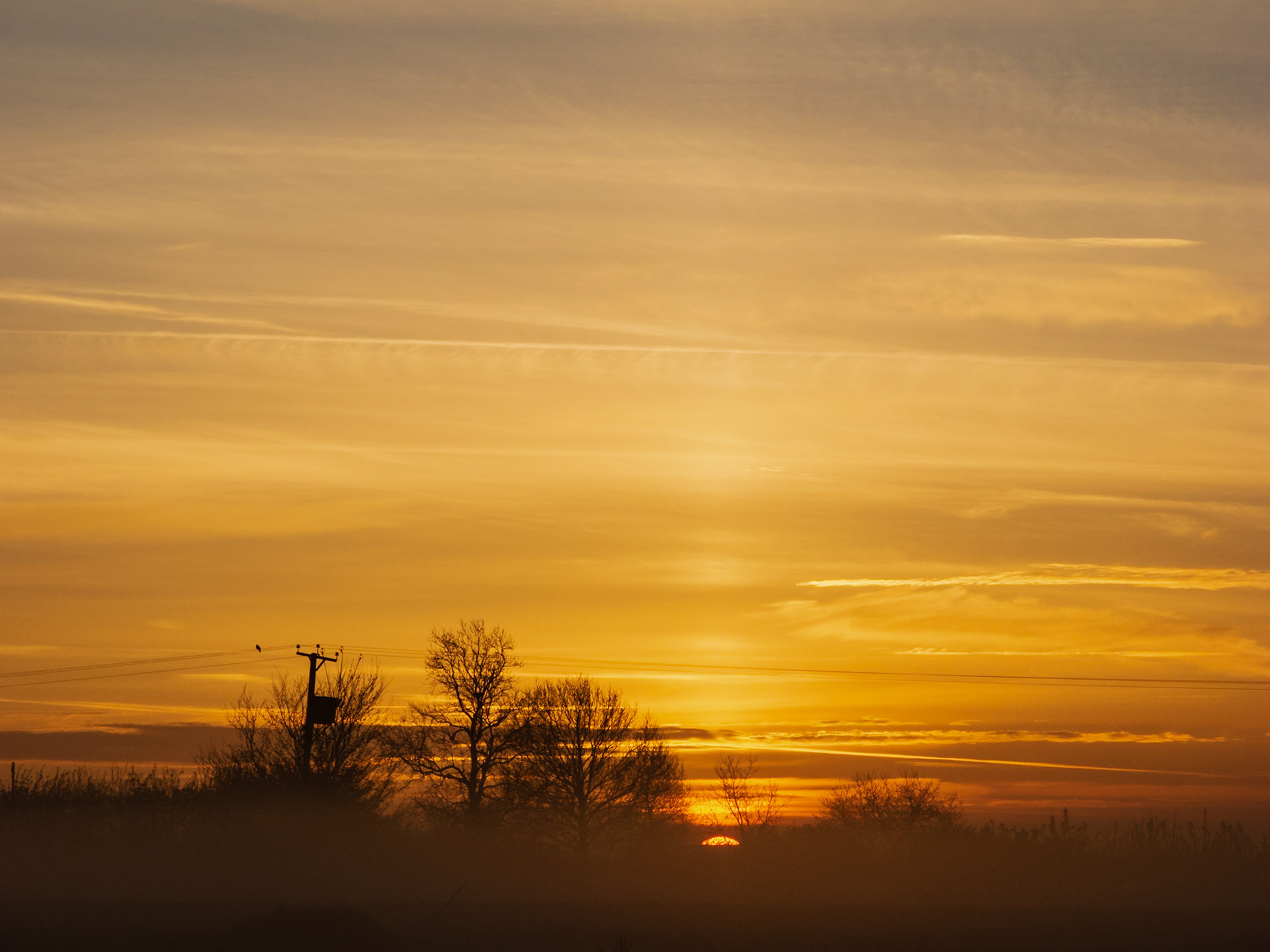 Sunrise