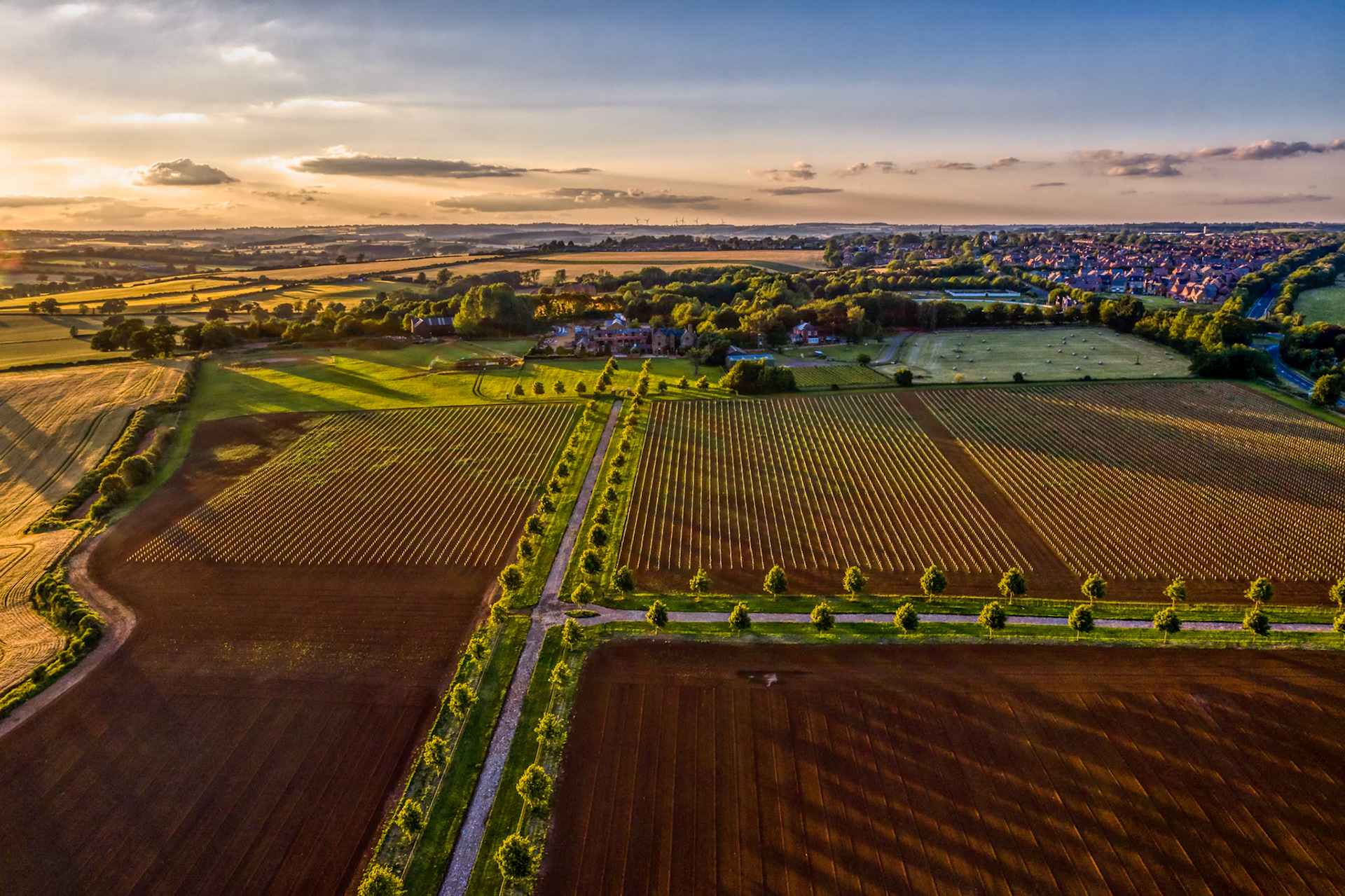 Topaz Adj AI - Sunset 0.5; sk 5