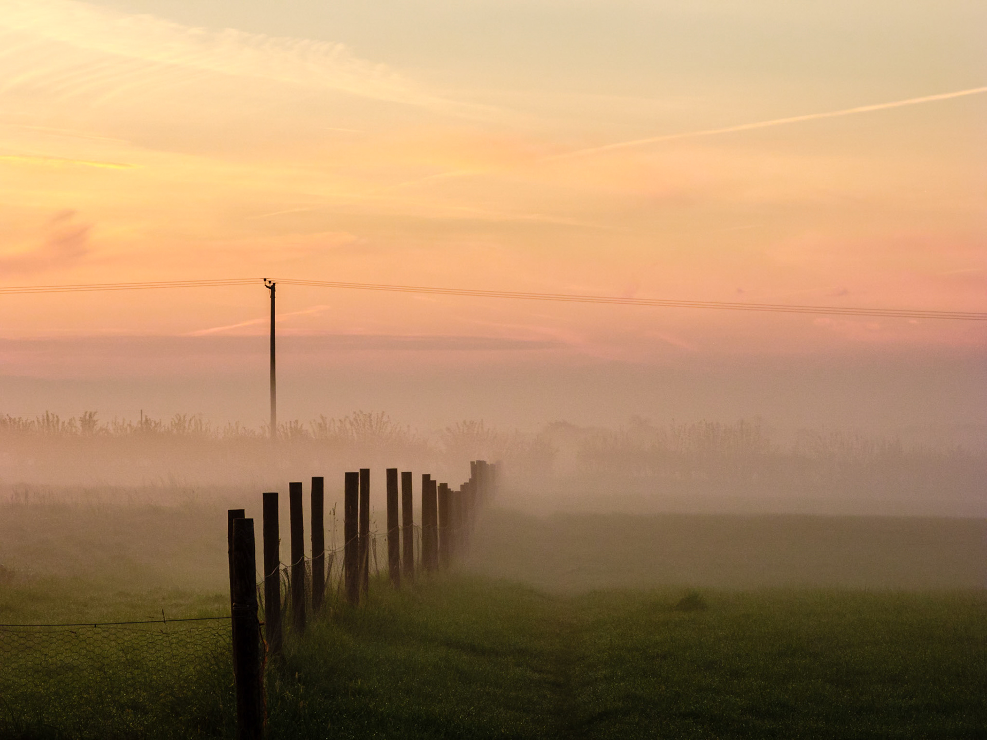 Fence Line