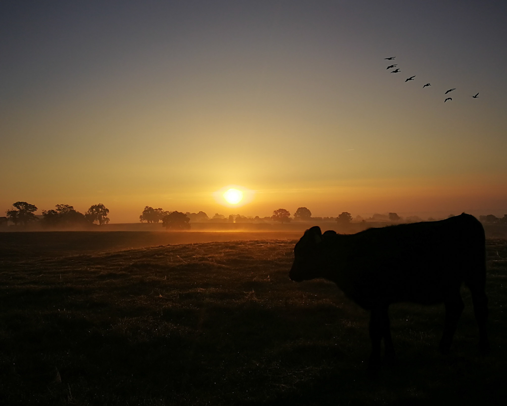 Morning Flight