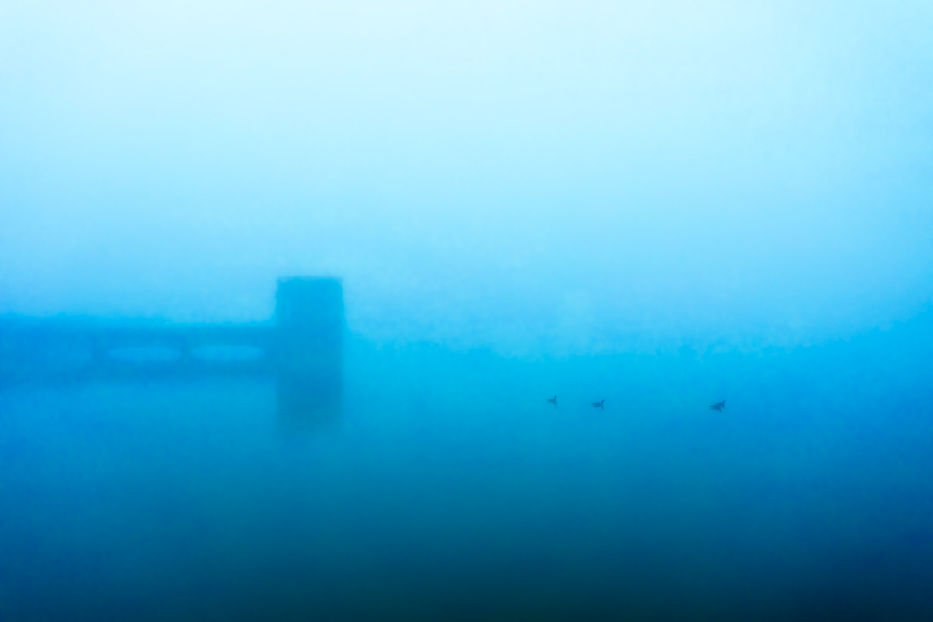 Dawn Quiet