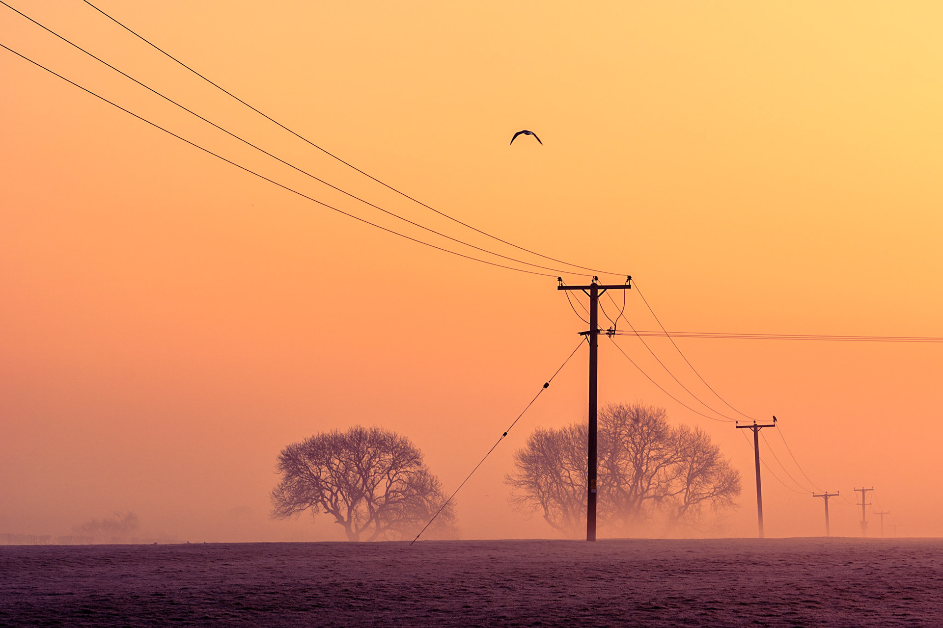 Sunrise I, Holcot Road (Tangerine Dream)