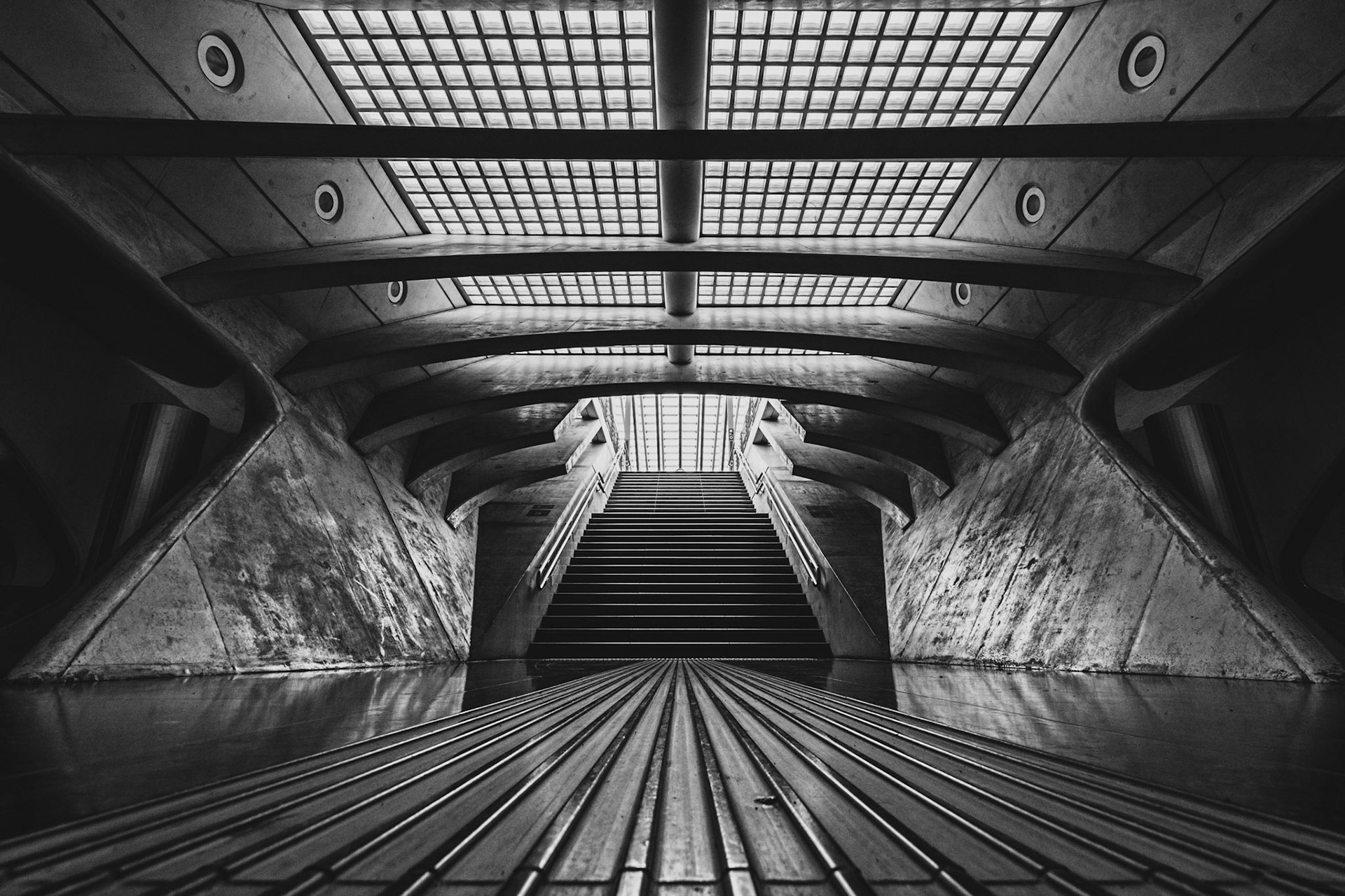 Come to the Light
