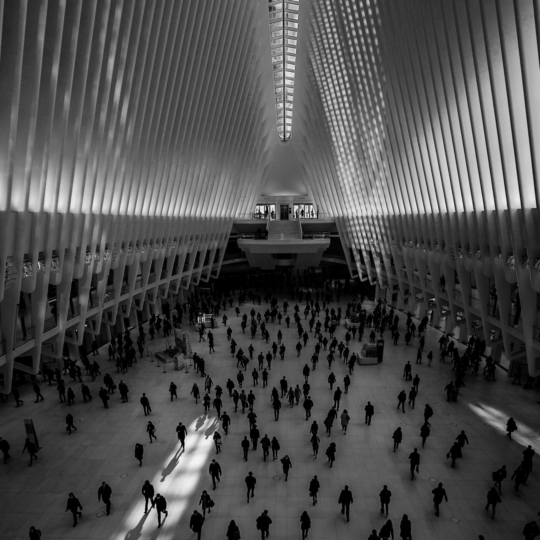 Some day we will go back to the light (Commuting travel)