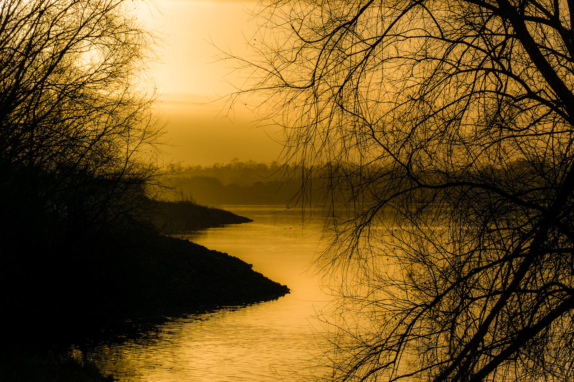 Golden Morning