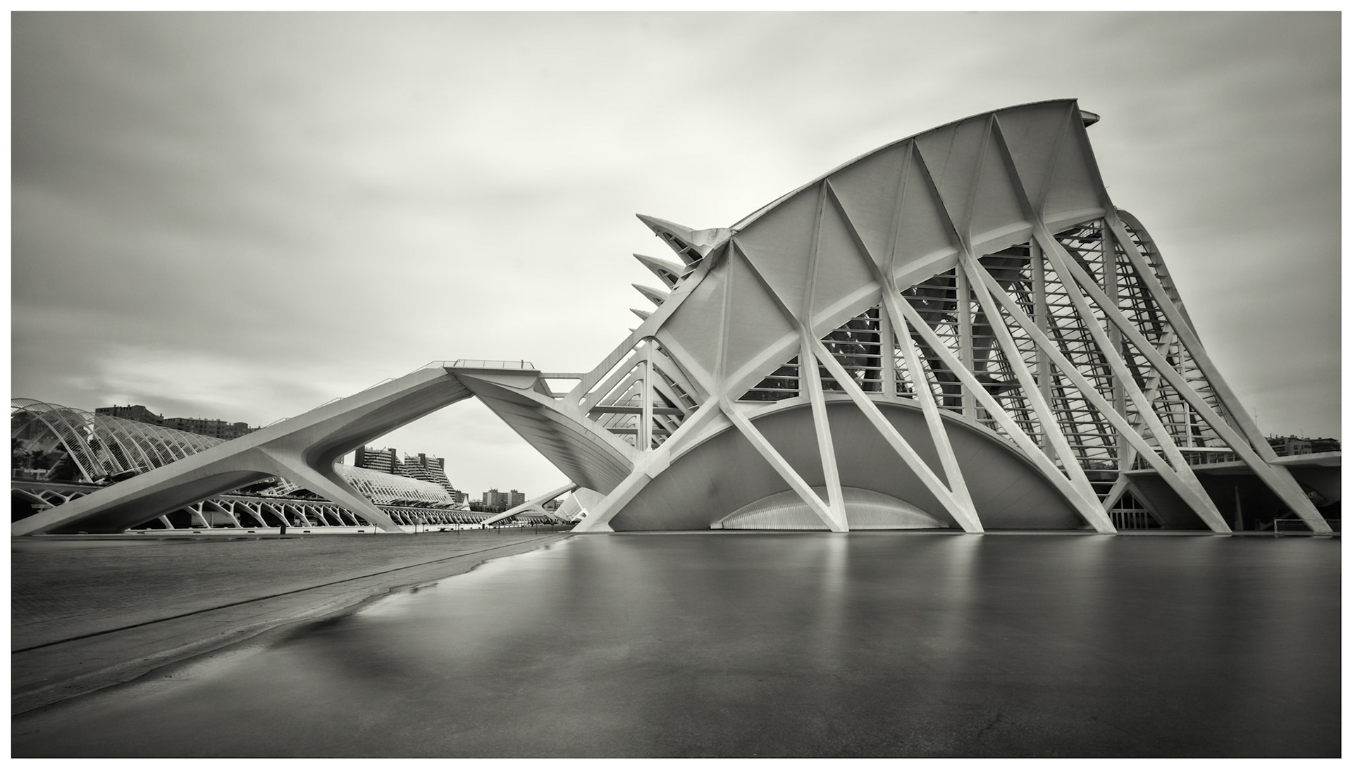 Valencia, City of Arts and Sciences, Topaz B&amp;W Platinum, adaptive exposure 0.5