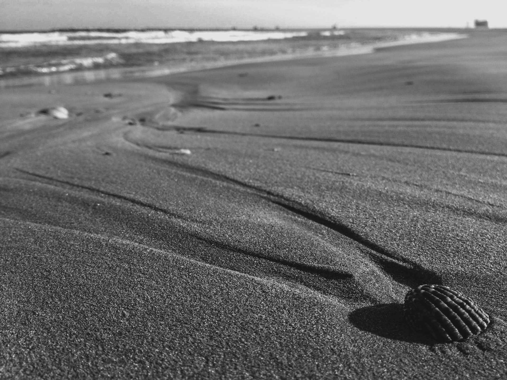 Some day we will go back to the light (Beachcombing)