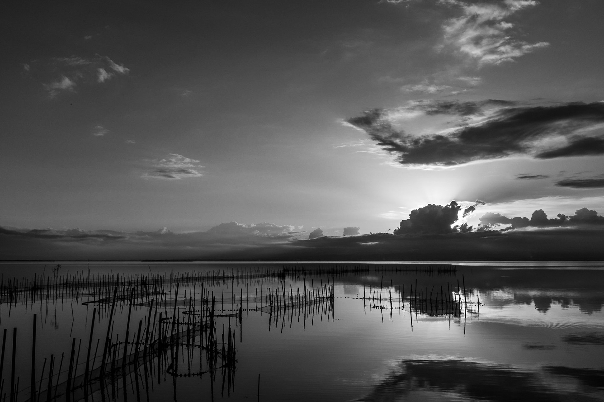 Mirador de la Albufera