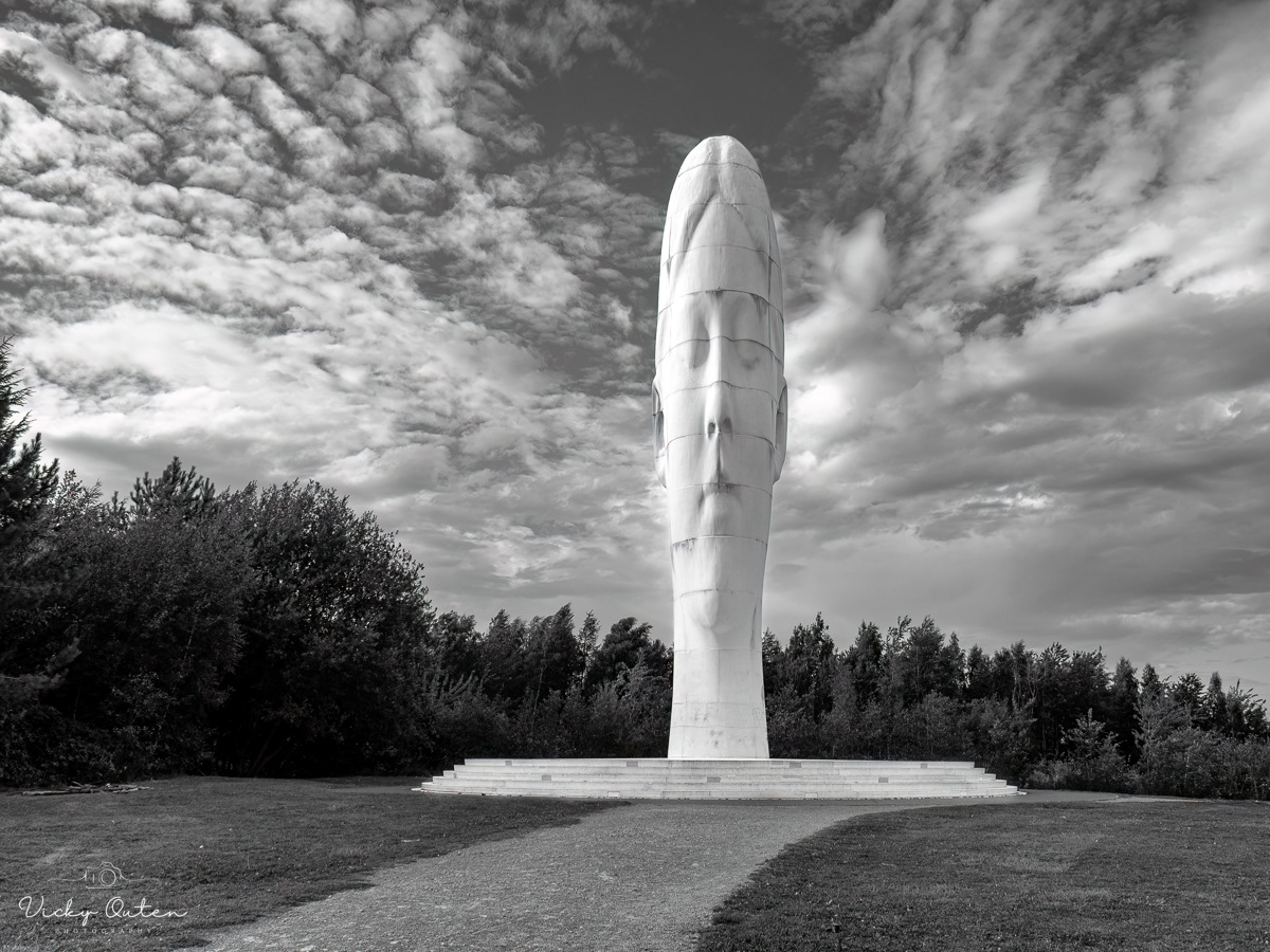 The Dream in monochrome