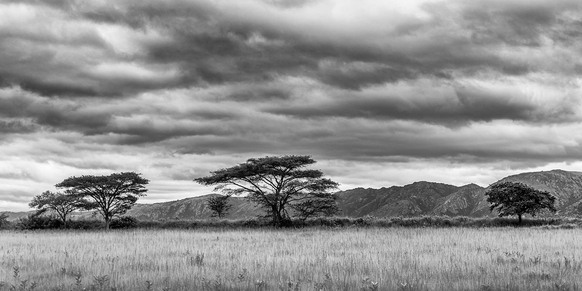 Parc Mlilwane (Afrique du Sud)