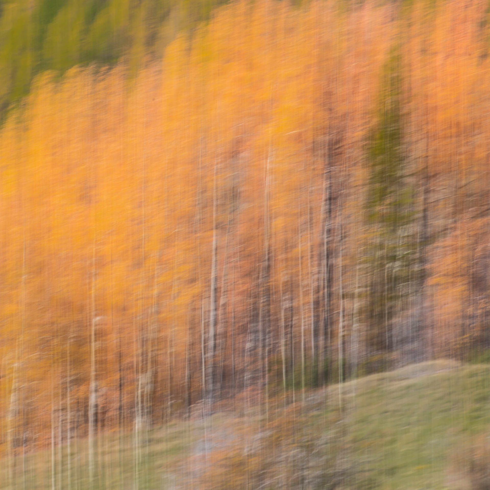 Automne en Ubaye (Coulet de Sérenne, France)