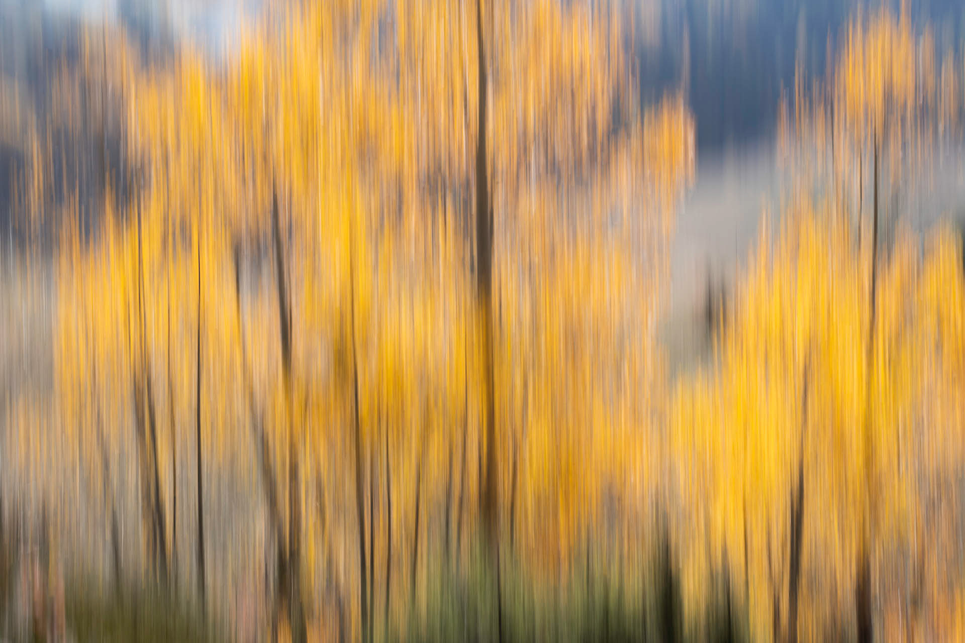 Automne en Ubaye (Coulet de Sérenne, France)