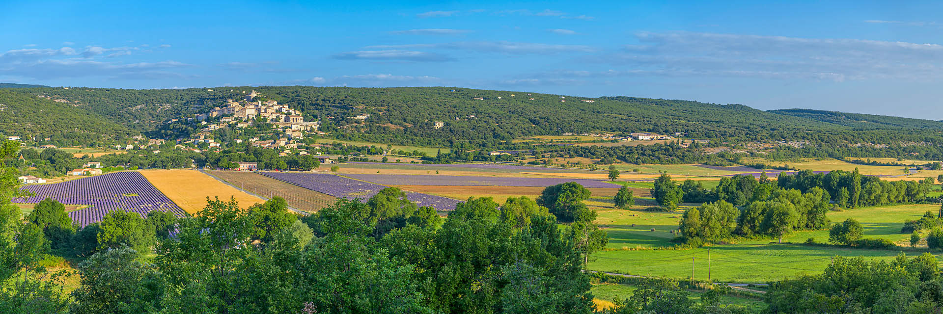 Simiane la rotonde
