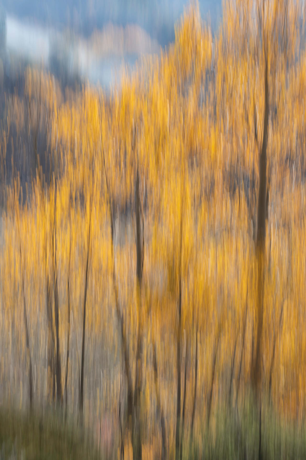 Automne en Ubaye (Coulet de Sérenne, France)