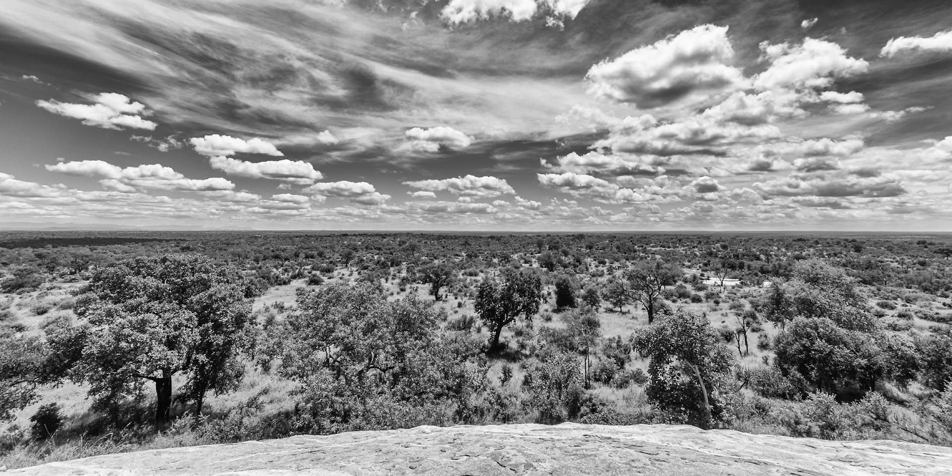 Parc Kruger (Afrique du Sud)