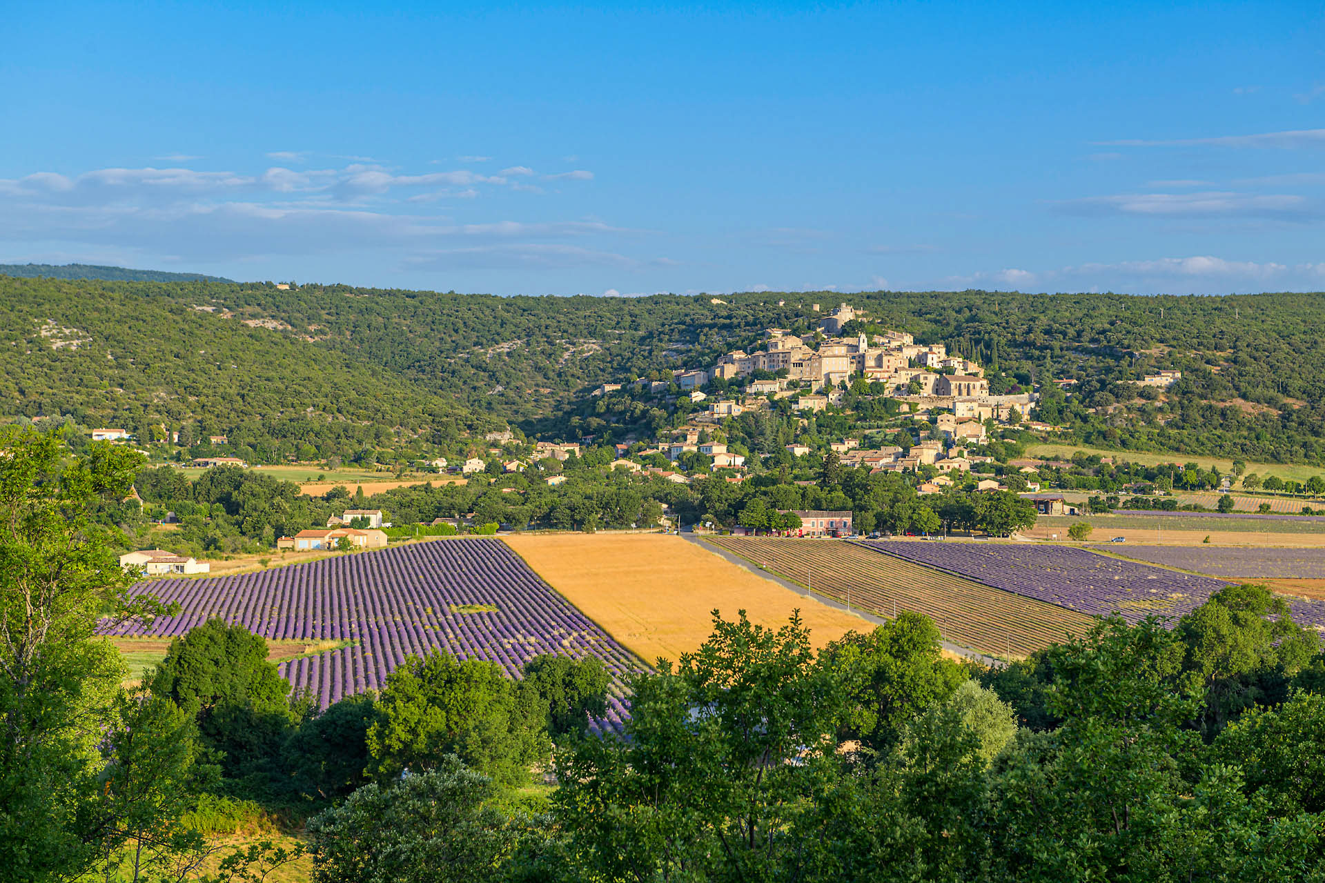 Simiane la rotonde