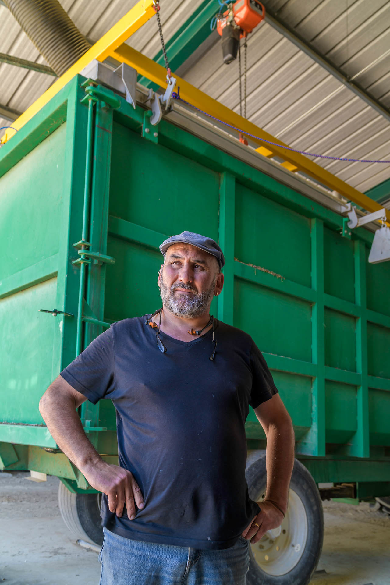 Producteur de lavande