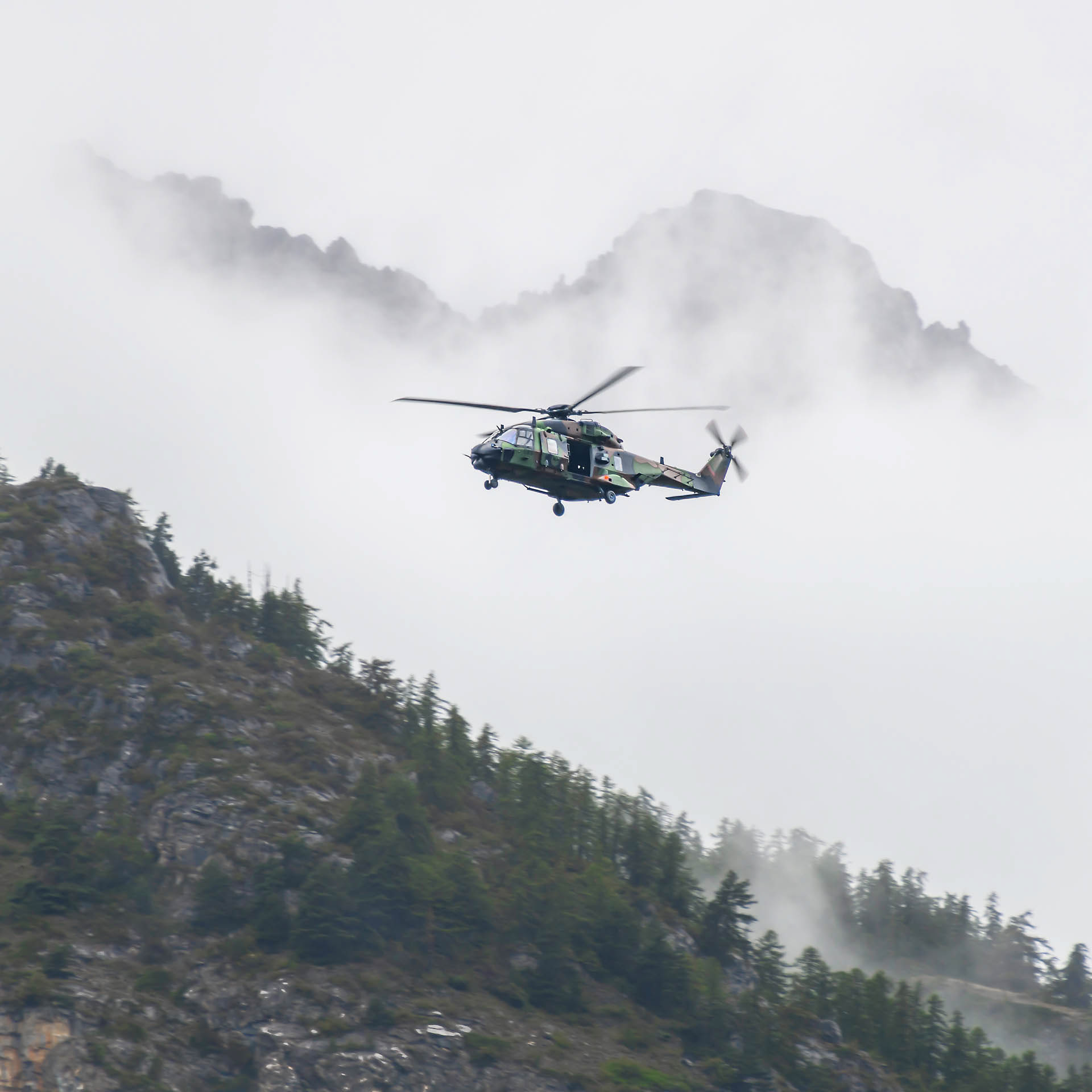 NH Industries NH90-TTH Caïman