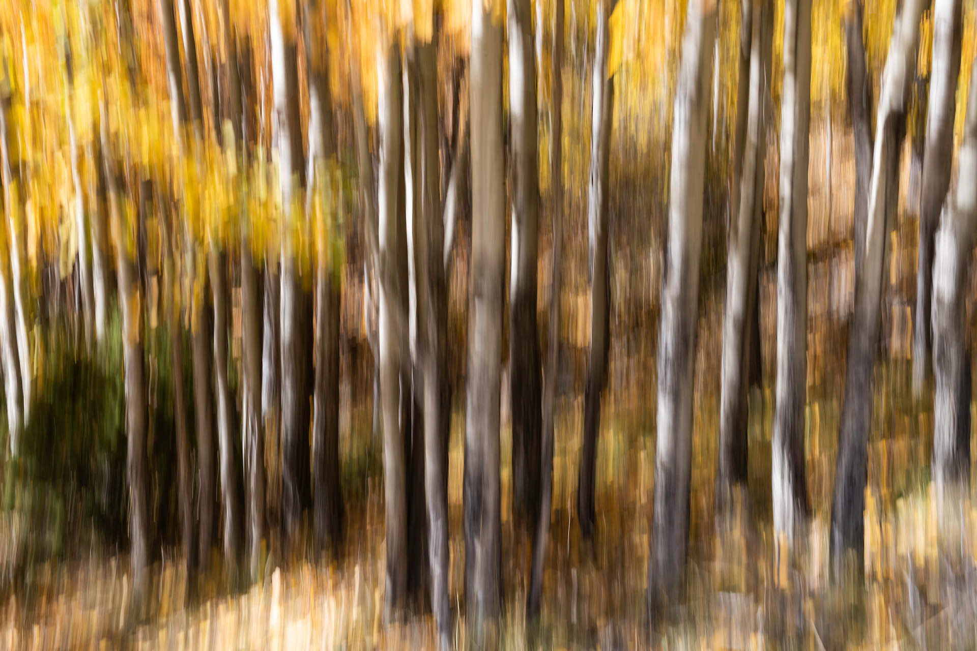 Automne en Ubaye (Coulet de Sérenne, France)