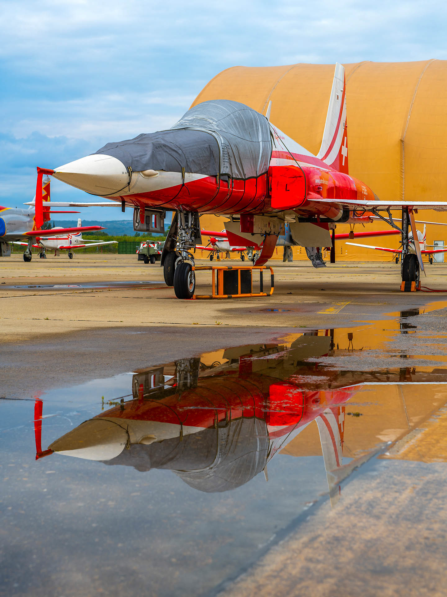 Northrop F-5E, patrouille suisse