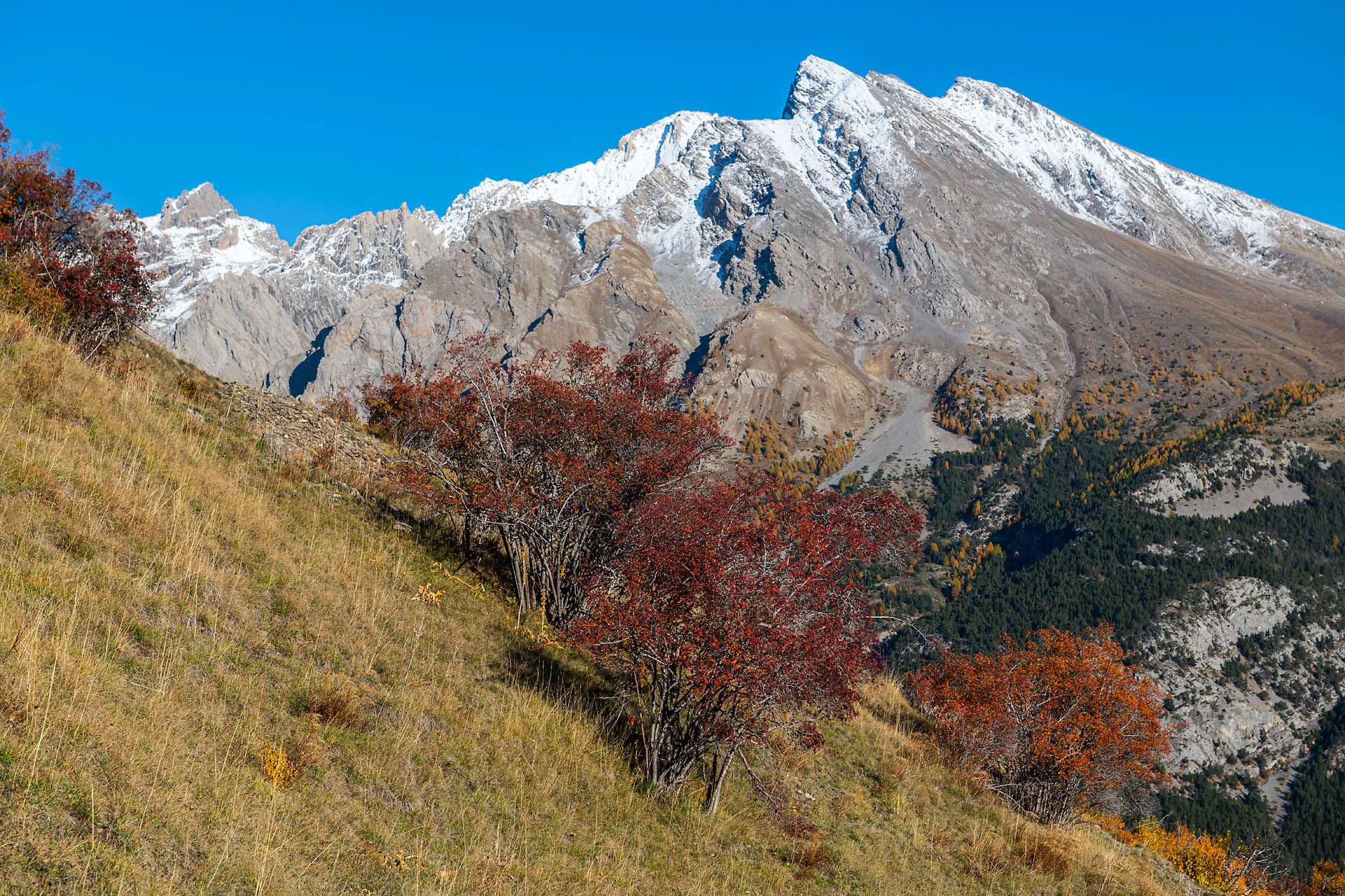 Tête de vallon Claous