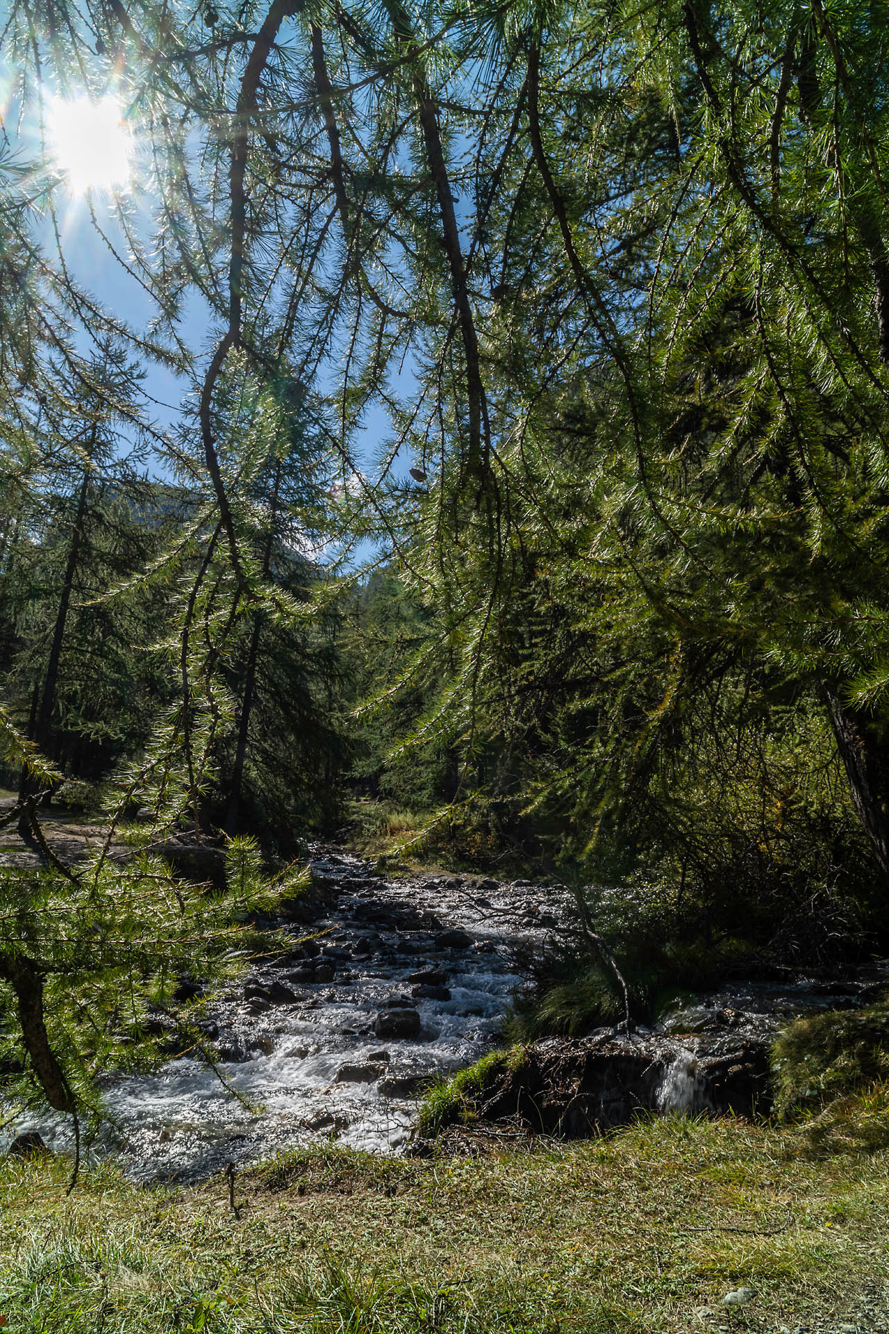 Torrent du Mélézet, Ceillac