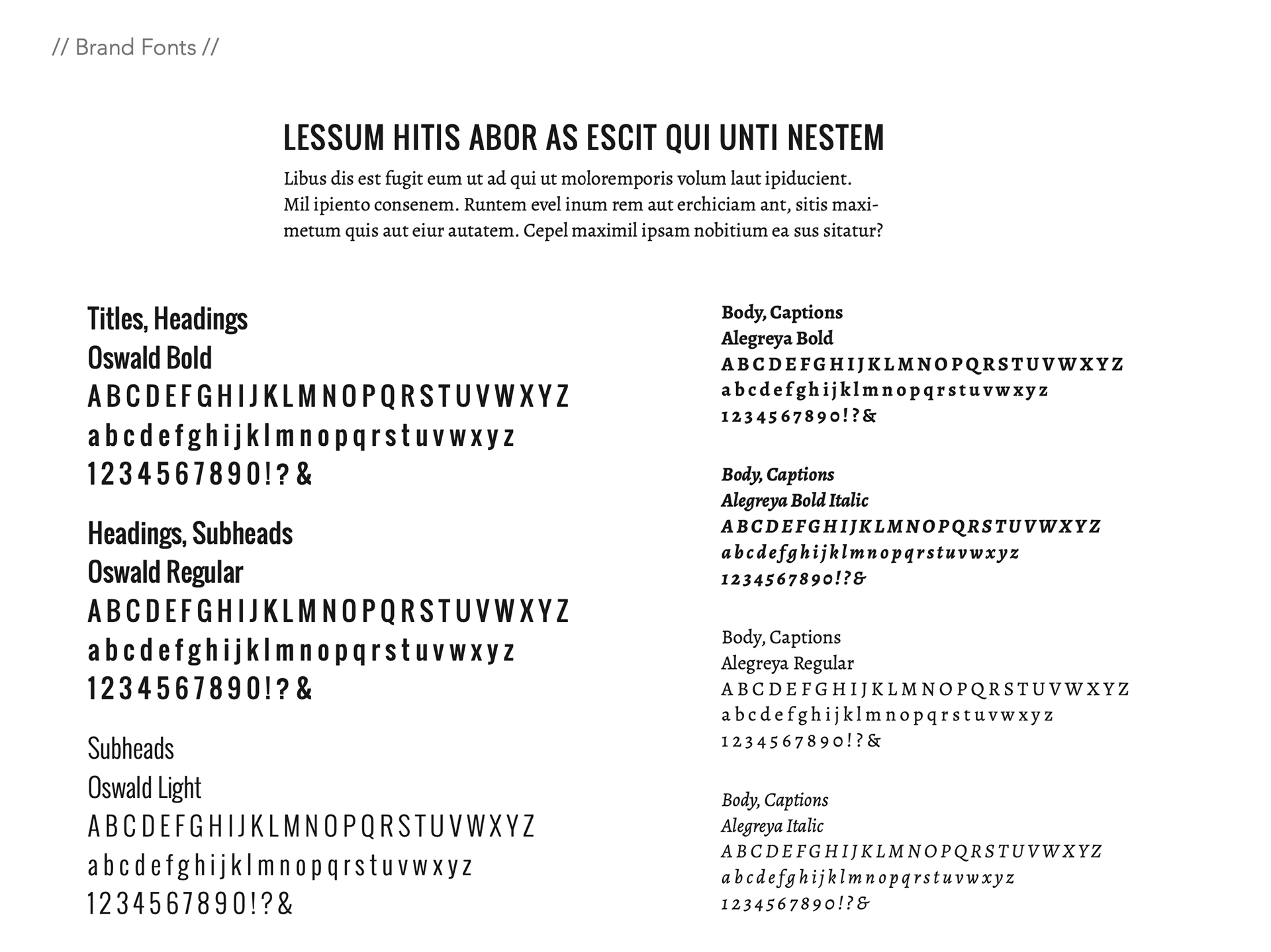 Brand typography from the style guide