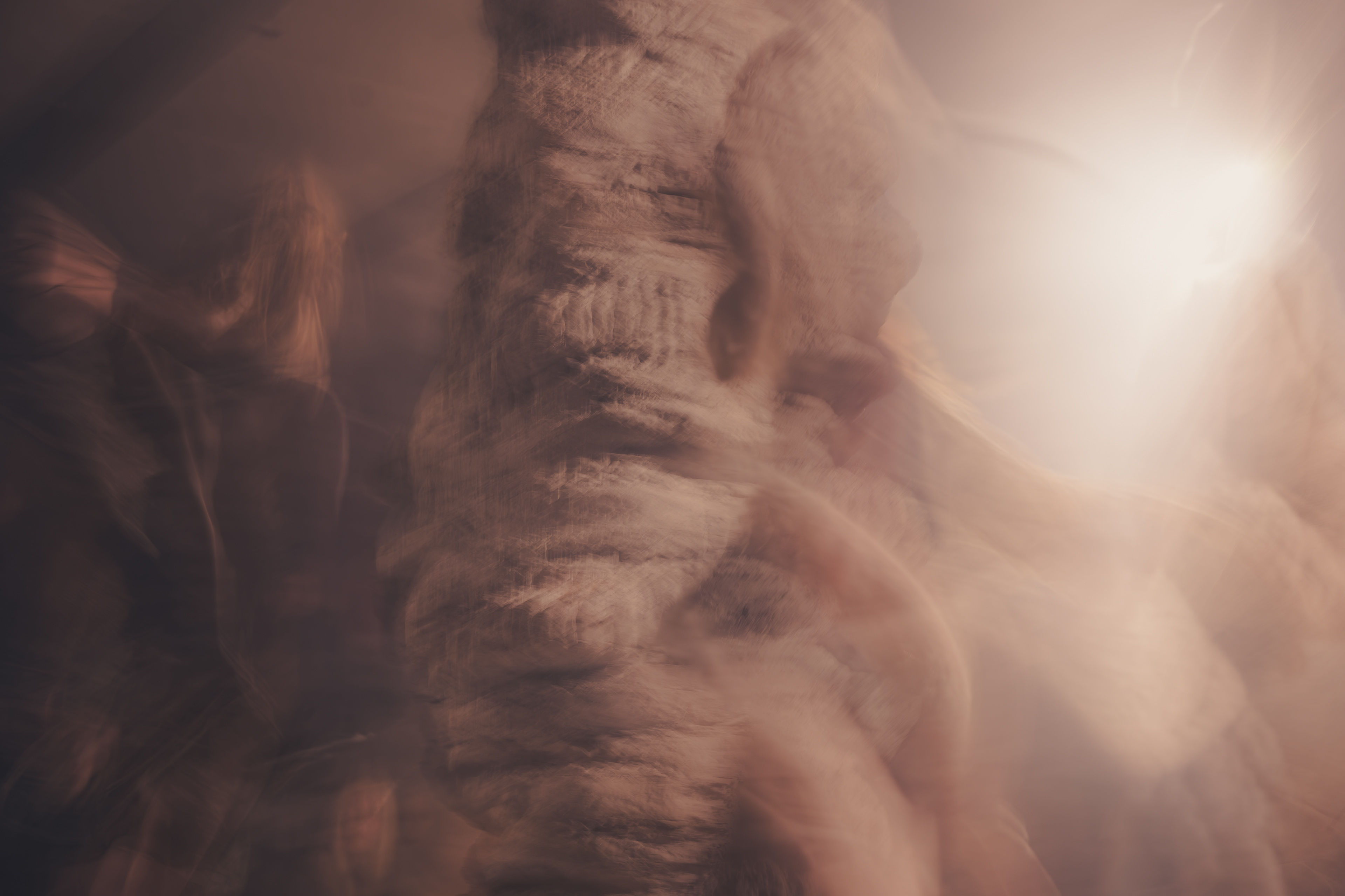 "Laetoli" reż. Marta Bratuś