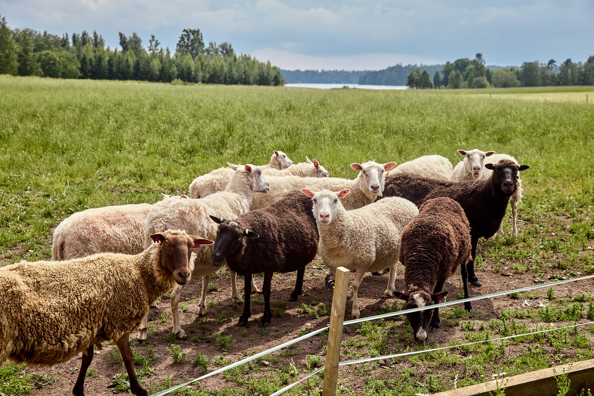 Lammaskallion tila, Tuusula